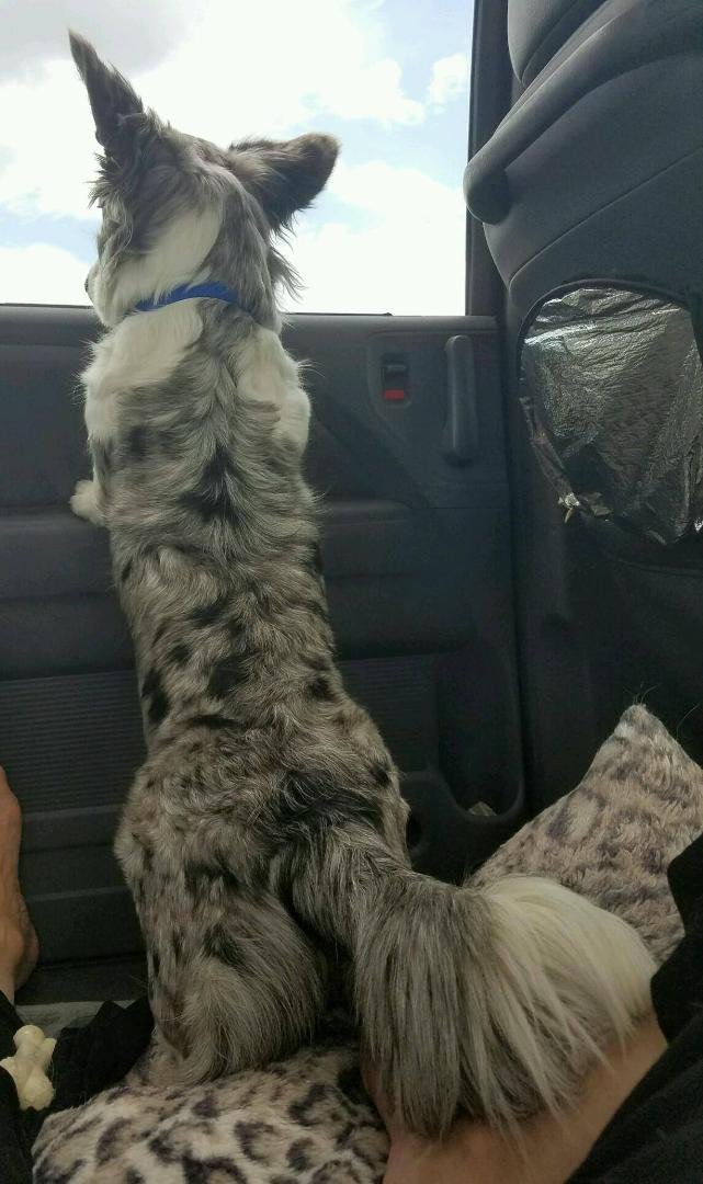 Are we there yet?