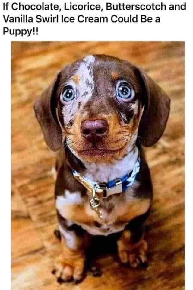 Who could be mad at that face, huh?