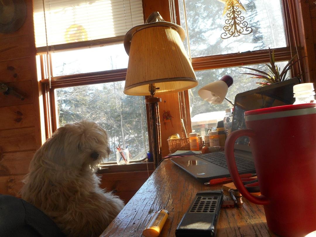 Chillin' on a sunny cold January day with my bud.