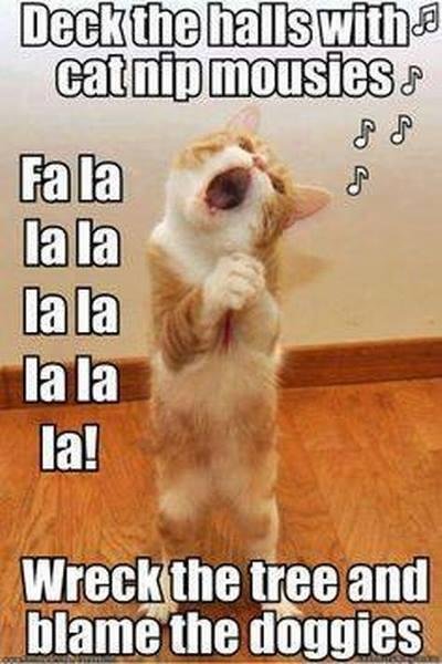 Terry Simonson's album, Timeline Photos