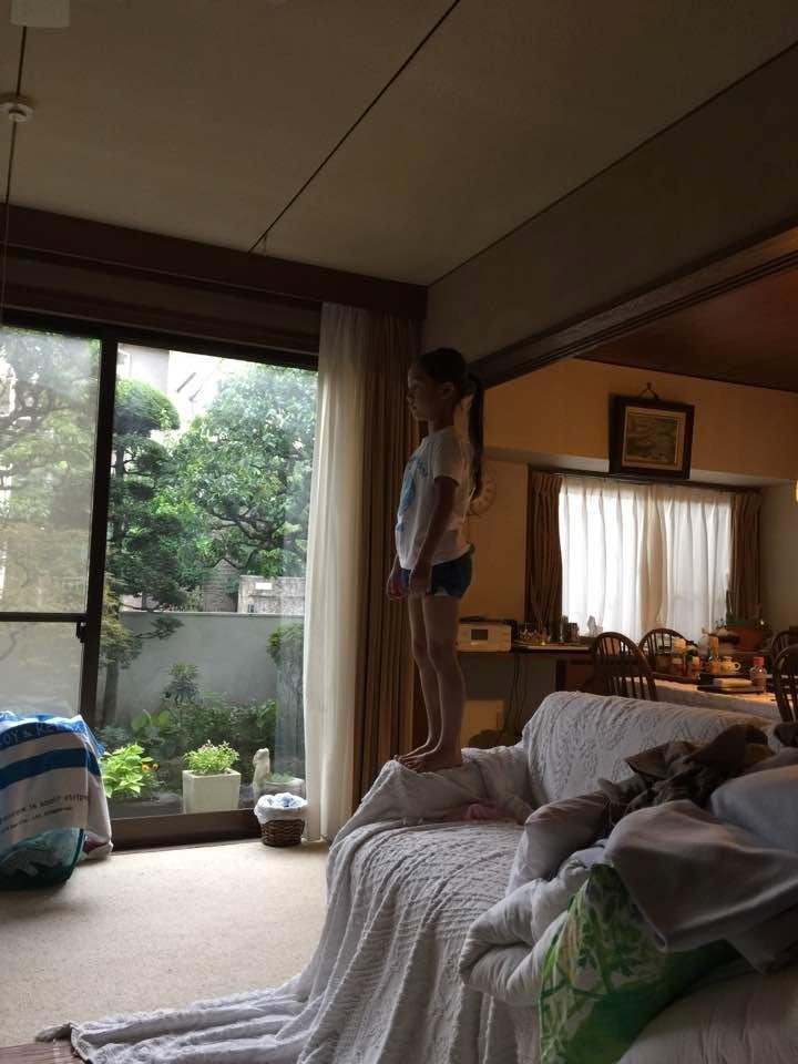 只今お留守番中。「クレヨンしんちゃん」を熱心にご鑑賞されてます。何故座らないのか？1分たりとも静止しない。^^;