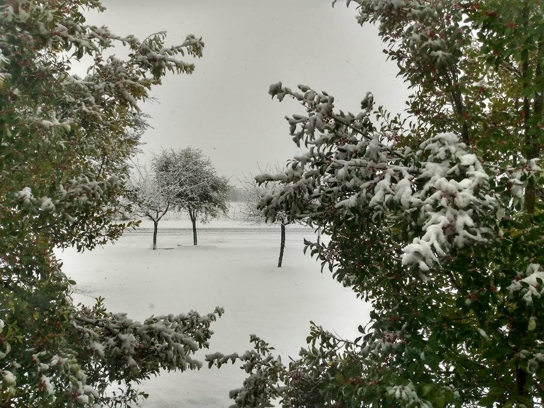 I snow, which sinks so light, Brown earth is hid from sight. O soul, be thou as white as snow. Dear earth quite warm below;
O heart, so keep thy glow
Beneath the snow.