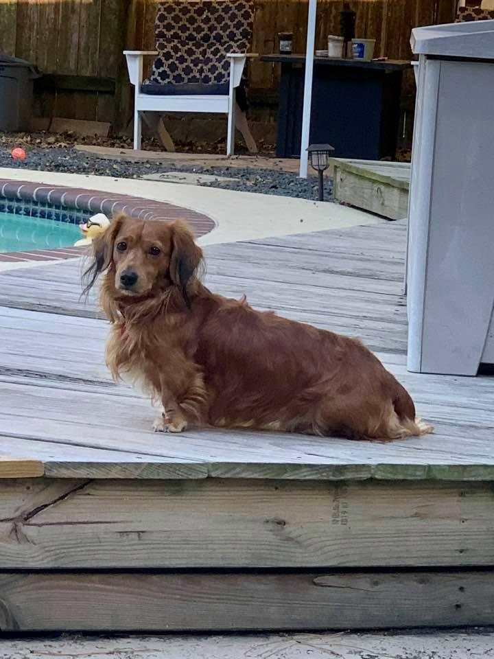 Handsome Boy!