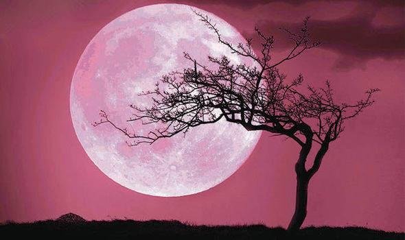 Richard Pfeffer's album, Timeline Photos