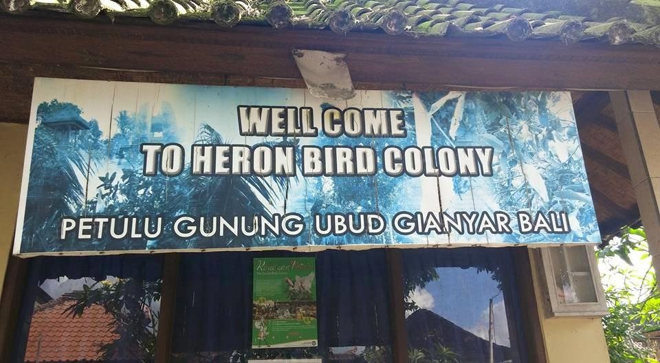 Village of Petula is in the heron preserve
