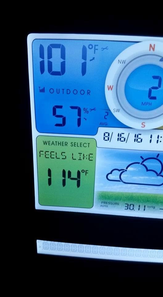 Temperature went up 1 degree right after I took first photo !
