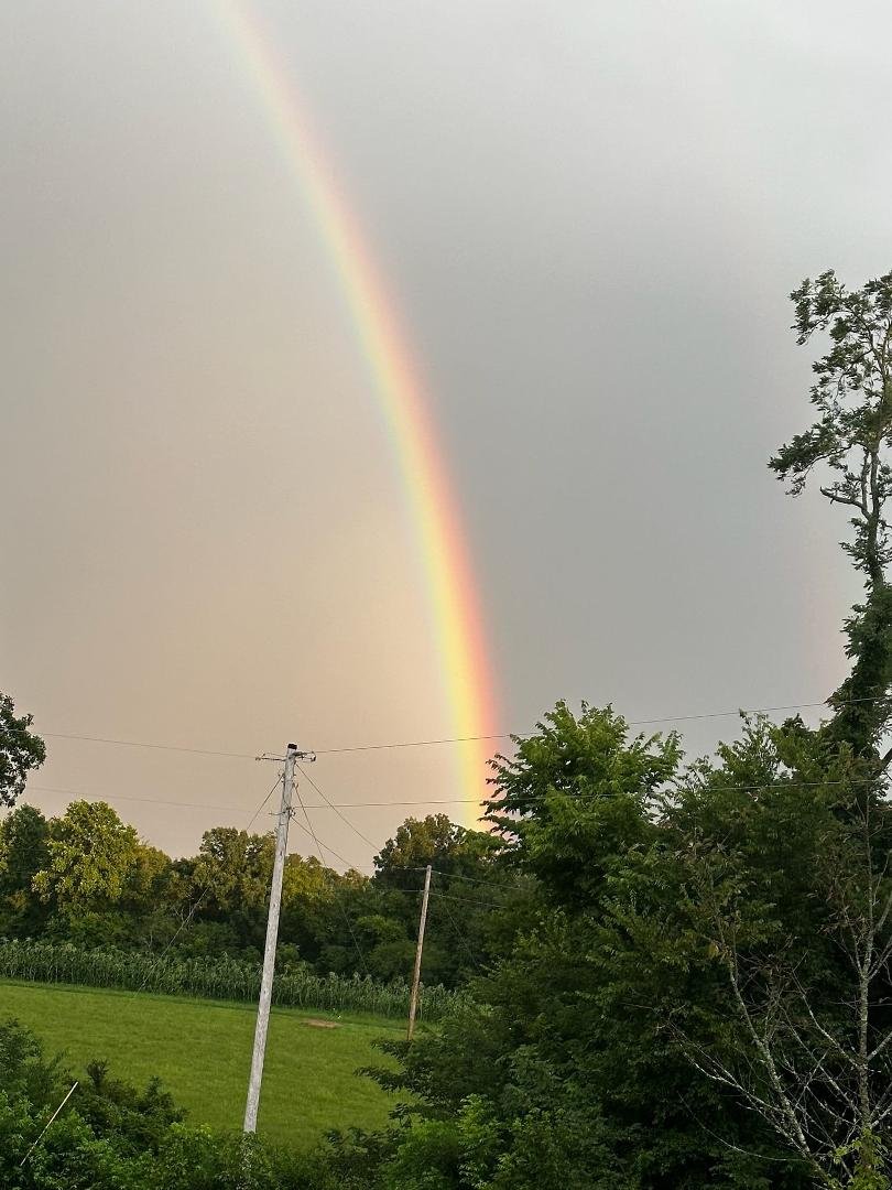 Front yard tonight!