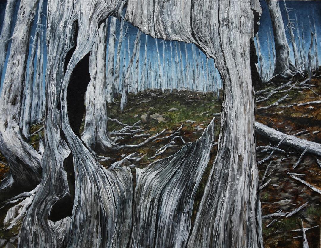 'Old Burn,' L. Hensen, 2018.