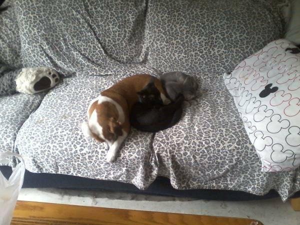 Awww I am cute