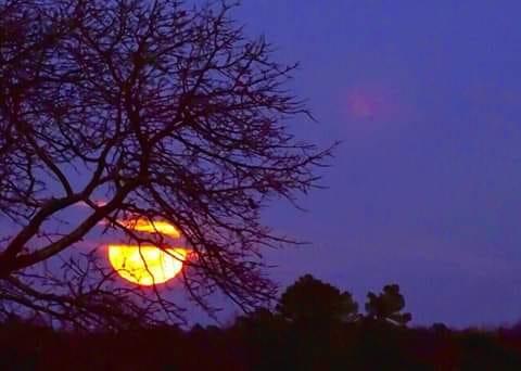 A very close family friend actually took this photo. Is this beautiful or what? And this is one of I guess thousands. Thanks for sharing the beauty Joy Echols