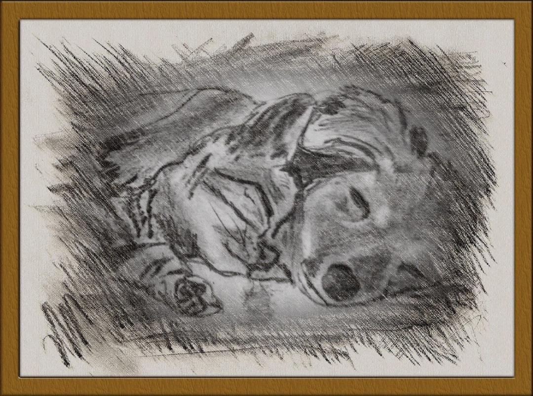 Daniel McGrath's album, My Sketch Photos