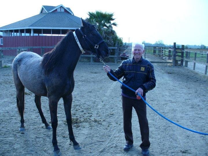 Peter Kay's album, Dad's horses