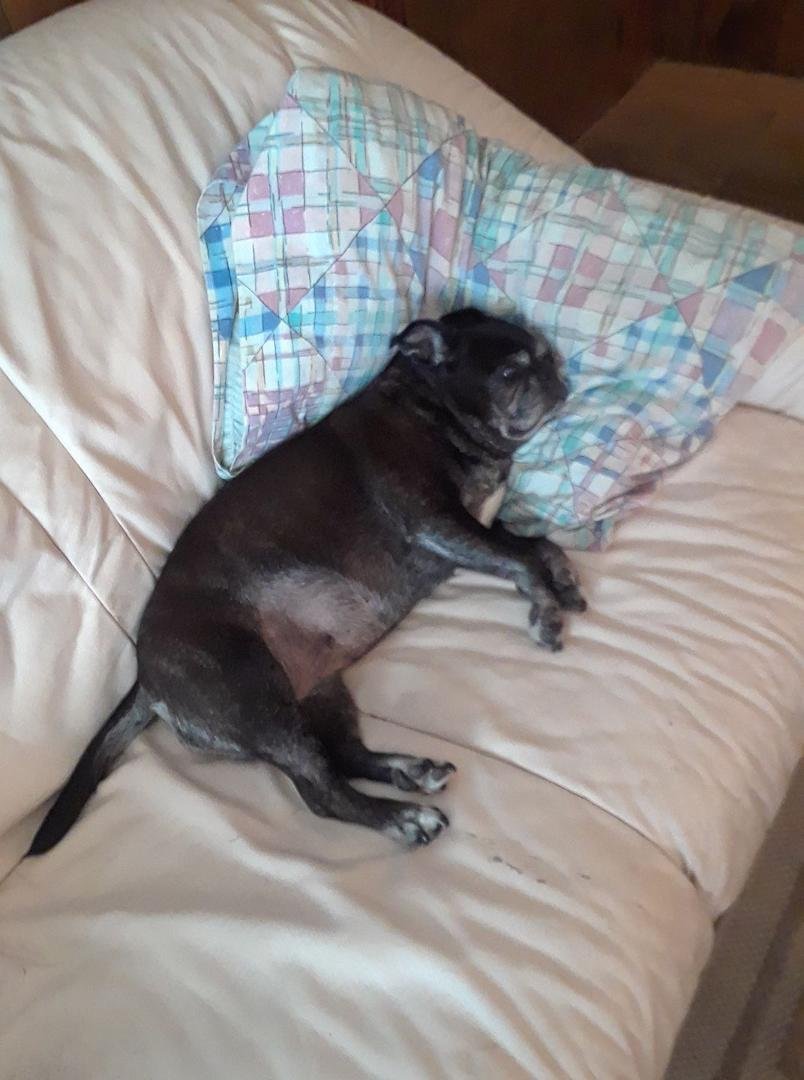 Just chillin it's Saturday