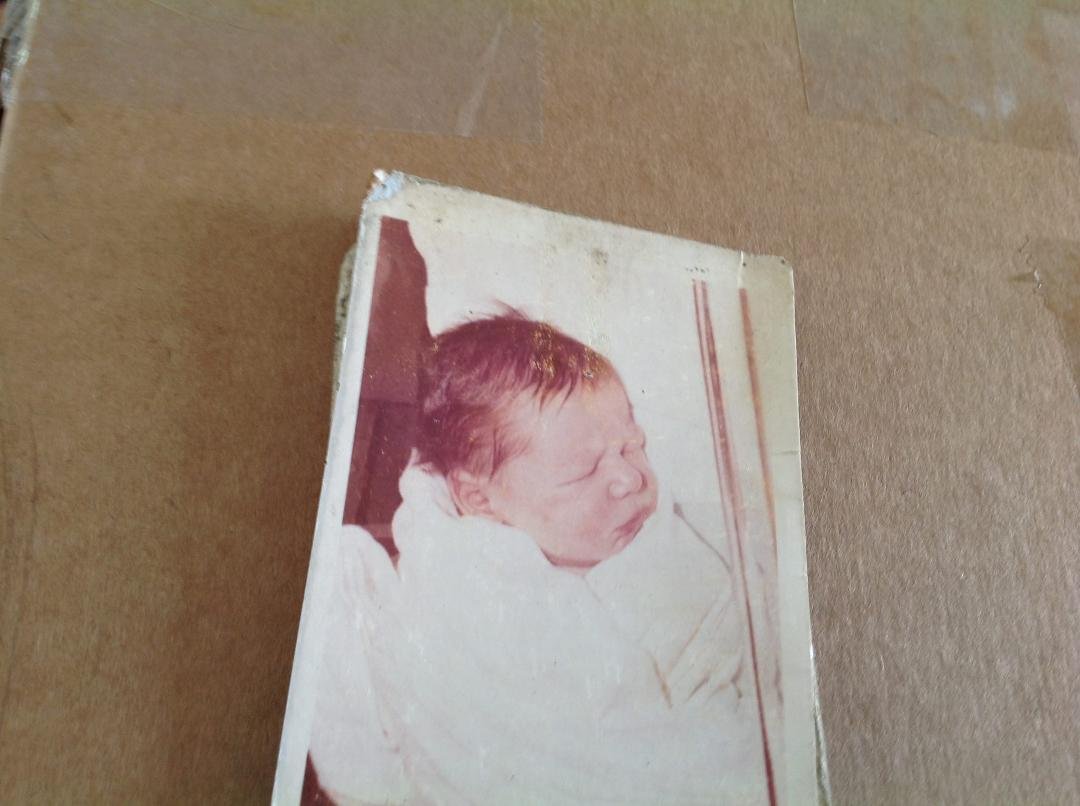 Sharon Mcnally's album, Mobile Uploads