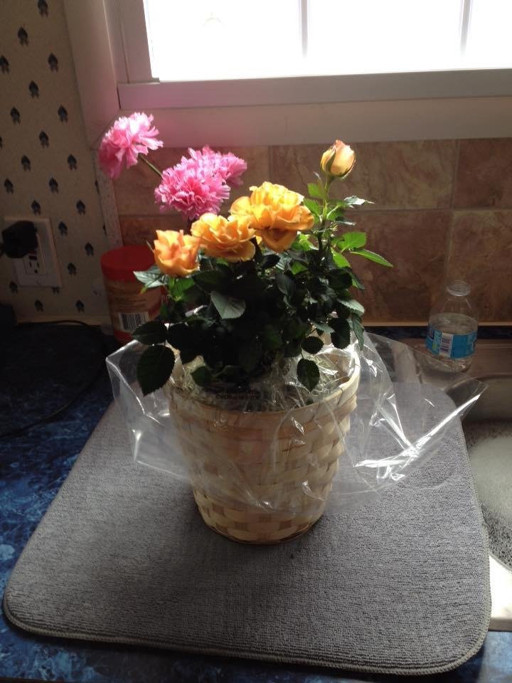 Got flowers for Mother's Day from Duane, Meredith , Kevin , Leah. Love you guys