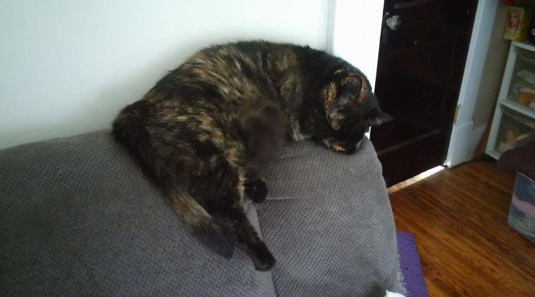 A good day to relax. What a life!