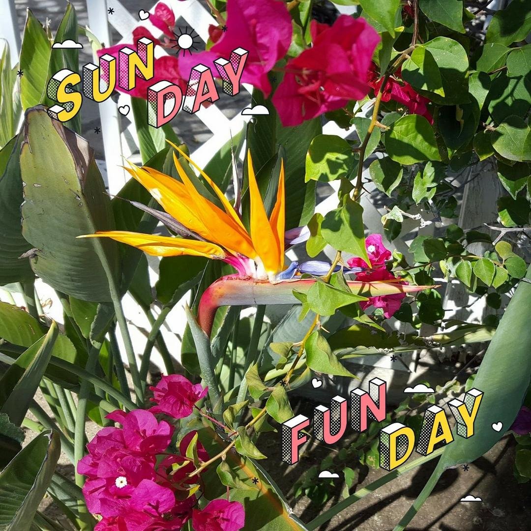 Spring in Palm Springs