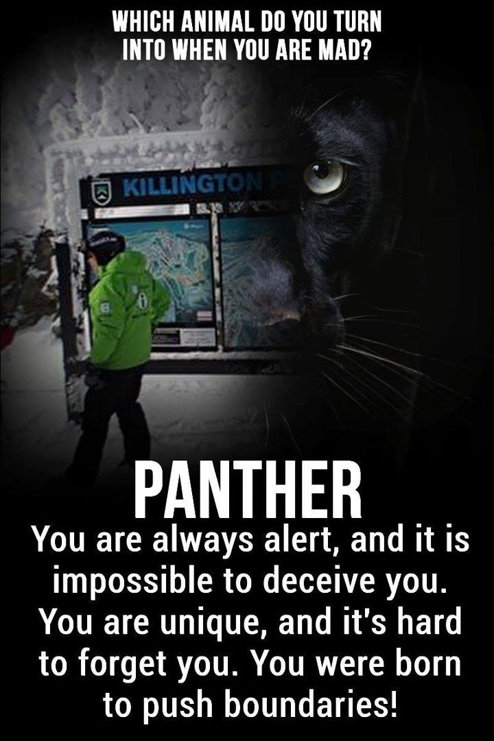 Joseph Staniszewski's album, Timeline Photos