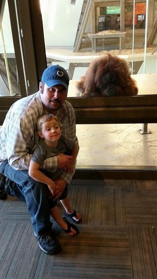 Son, grandson and orangutan.  Guess which is which.