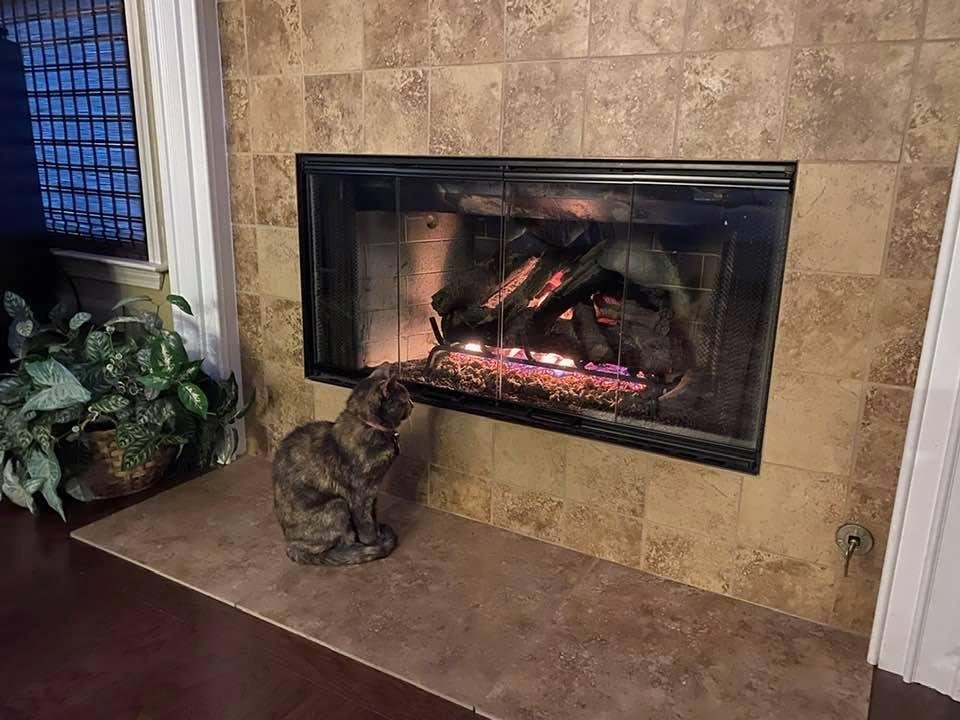 Cold and rainy night in Georgia.