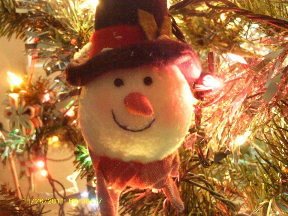Steven Bean's album, Christmas 2011