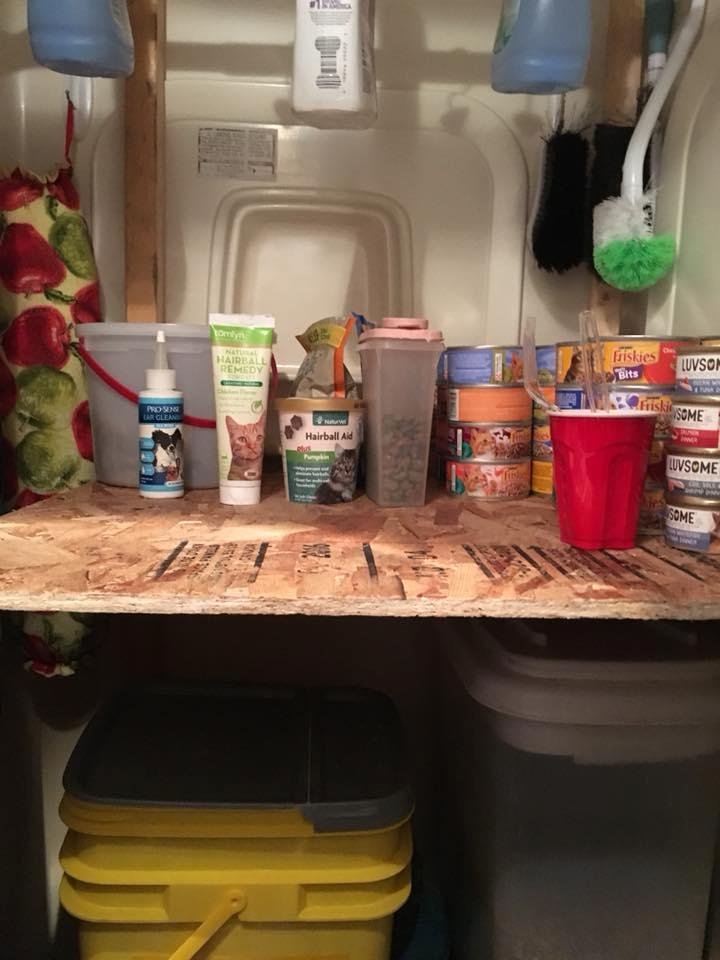 Beth Meier's album, Mobile Uploads