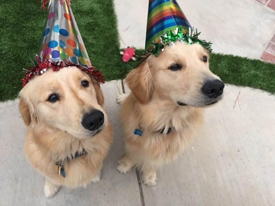 Birthday Bash ...we even had cake!!