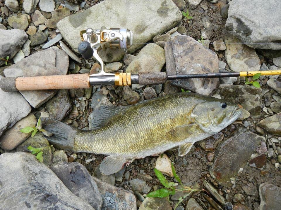 Summer 2012 Ashtabula R smallmouth bass