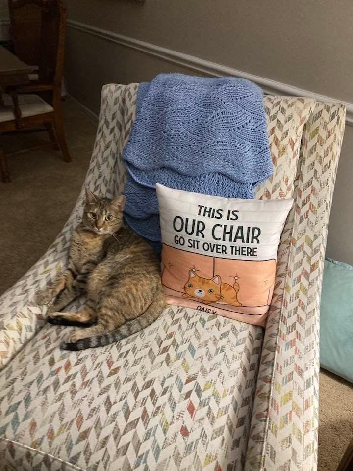 Daisy on our chair