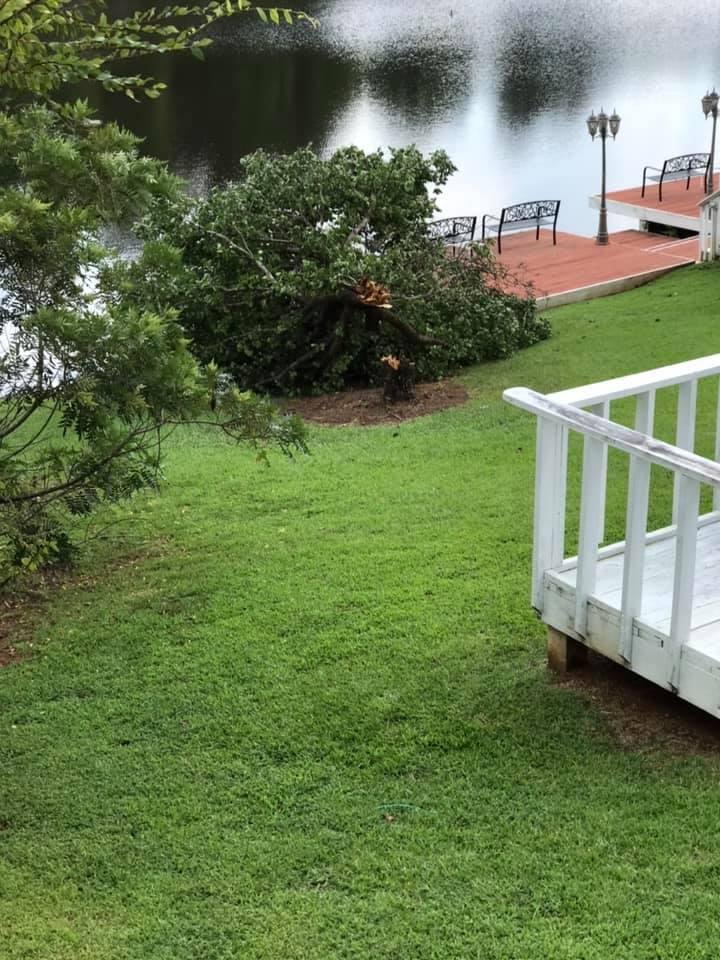 A storm came through last night with high winds. This tree in our next door neighbors backyard snapped completely. I took this picture from our driveway. We had two brief power outages.