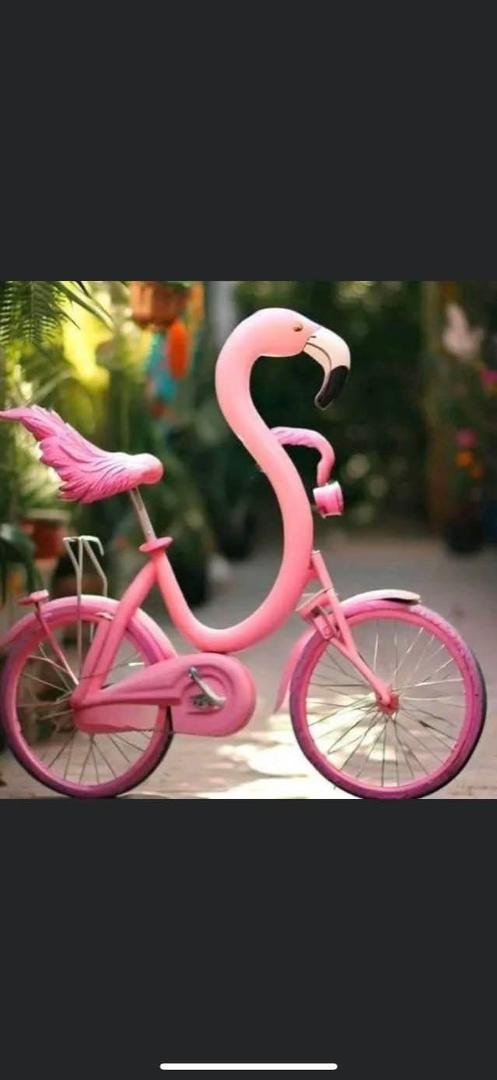 Jill Murphy Phillips' album, Timeline photos