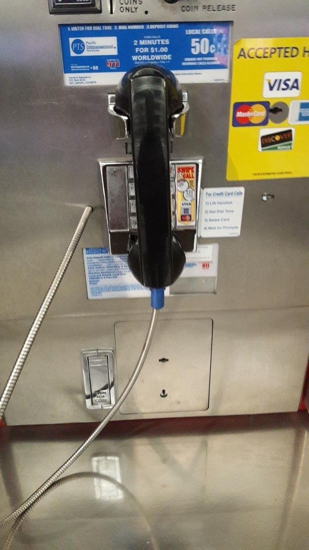 Wow! Found another dinosaur!