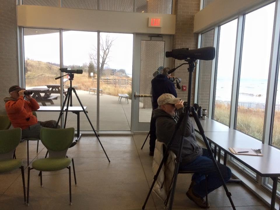 Highlights were Townsend's Soltaire and Harlequin Duck.
Portage Lakefront Park was our starting point.