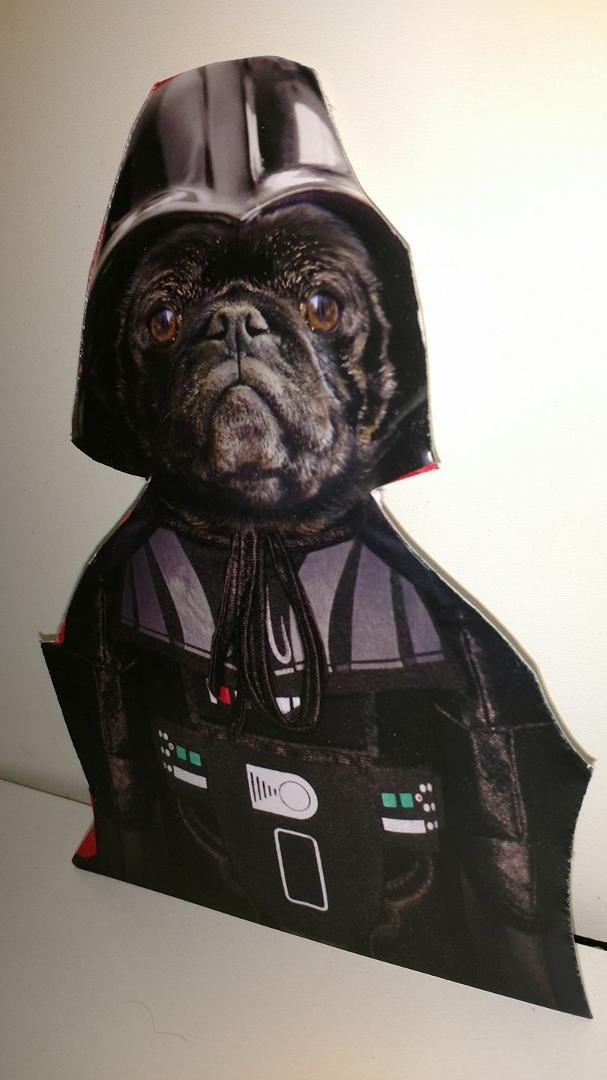 Embrace the power of the Pug side!