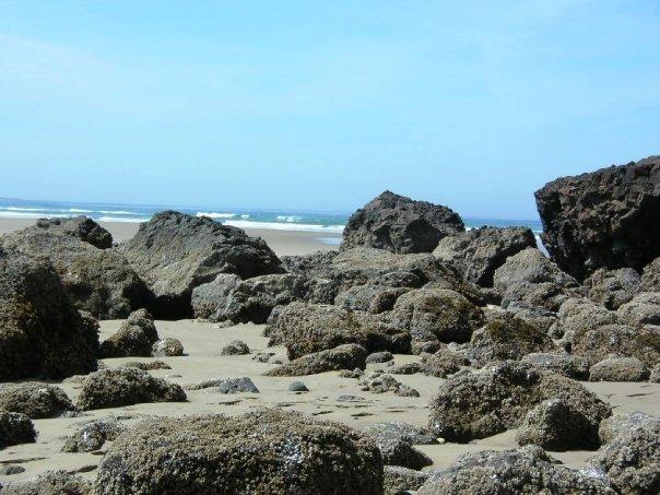 Patsy Crumpacker's album, Oregon Coast - 2009