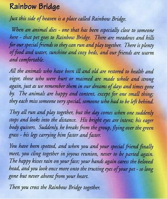 Sharon this is for you.