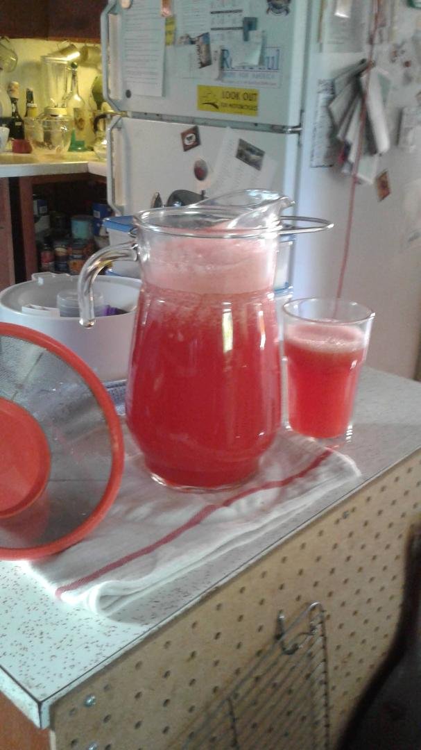 Just juiced a watermelon. Great with Rum, Vodka, Tequila. Yield is about a gallon for round melon.
