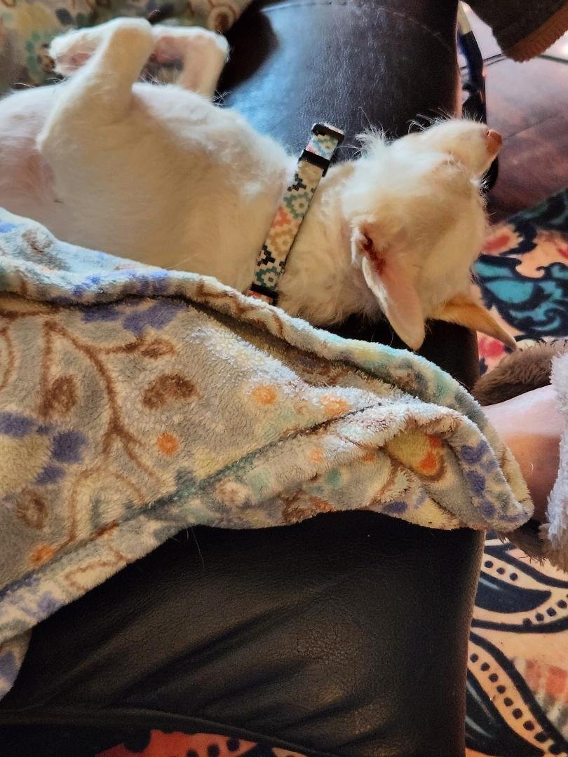 This is one lazy baby