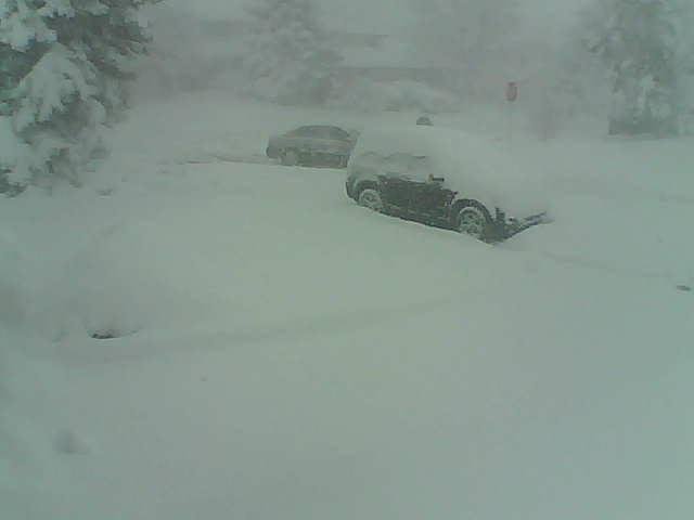 Just spent the morning with the snow blower and shovel. White out conditions on Bowles. Wet and really heavy snow.