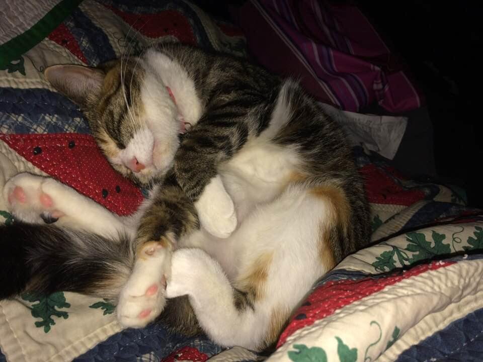 Can you tell she is happy to be home.