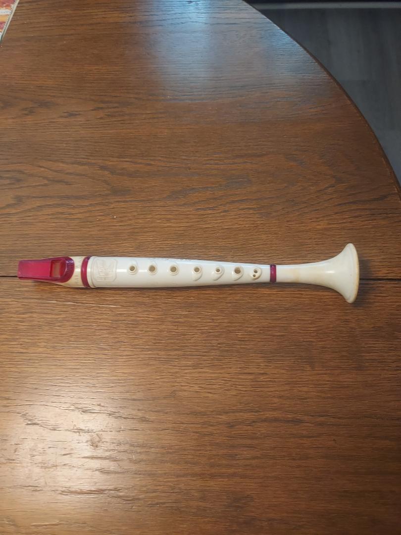 Remember these? First musical instrument for a lot of kids.