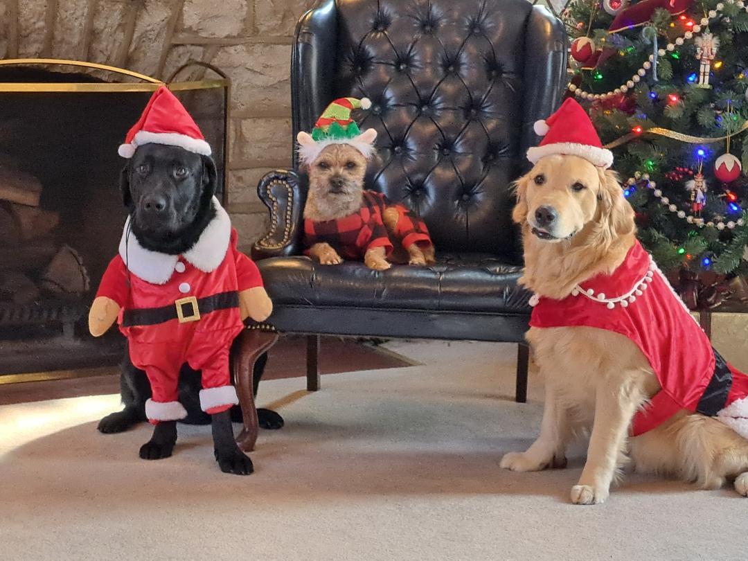 So What Do You Want For Christmas?