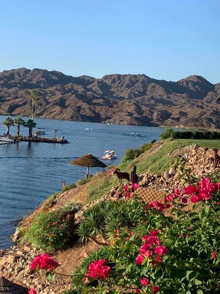 Havasu Springs 2020!
I’m asking those who love the great outdoors to post a picture. Just ONE pic. No description. The goal is to flood Facebook with positives instead of negativity! Please COPY the text, put a picture on