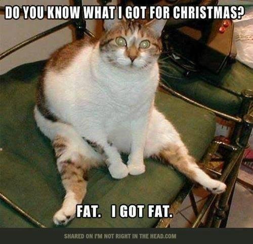 Greg Ruppel's album, Timeline Photos