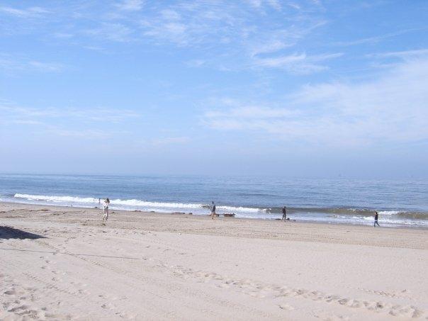 Beach from picnic area