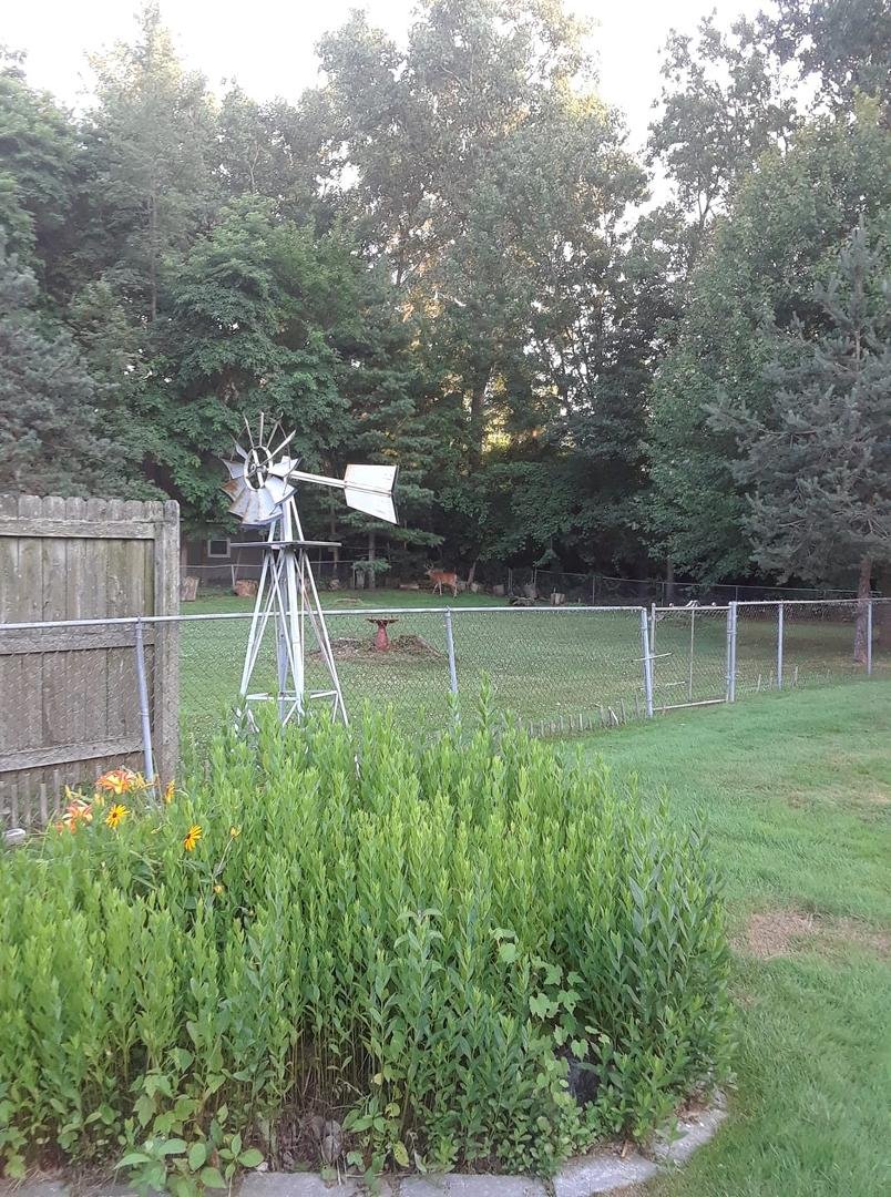Photo taken in neighbor Rosalie Best backyard 8:00 pm.