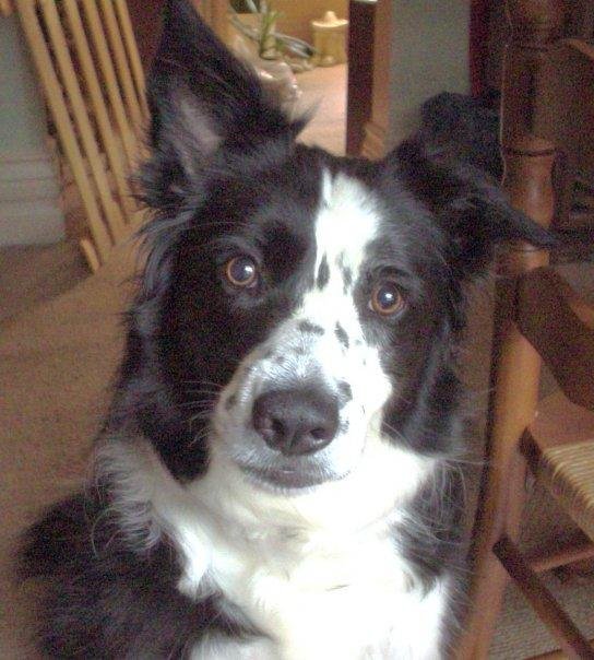 JAZZ: Least we forget. May you always chase shadows. You will always have a piece of my heart, love you, and will miss you every day.