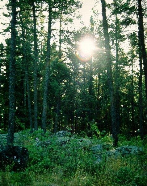 Ron Wirch's album, Some of my most meaningful pictures
