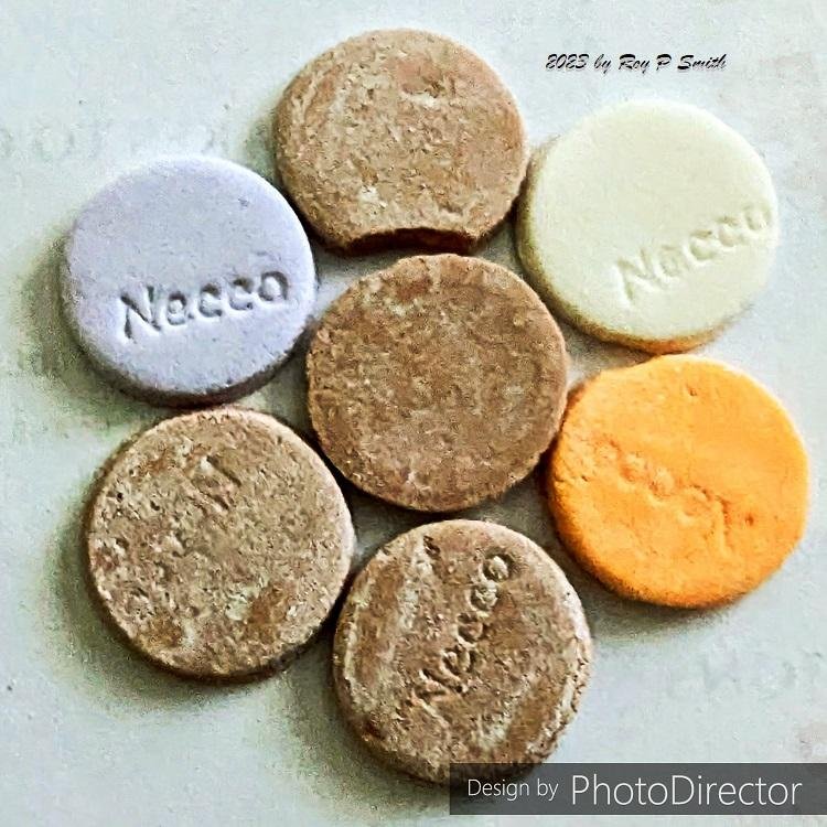 If you haven't had NECCO wafers candy before, this is what they look like. They come in assorted flavors and taste really good.