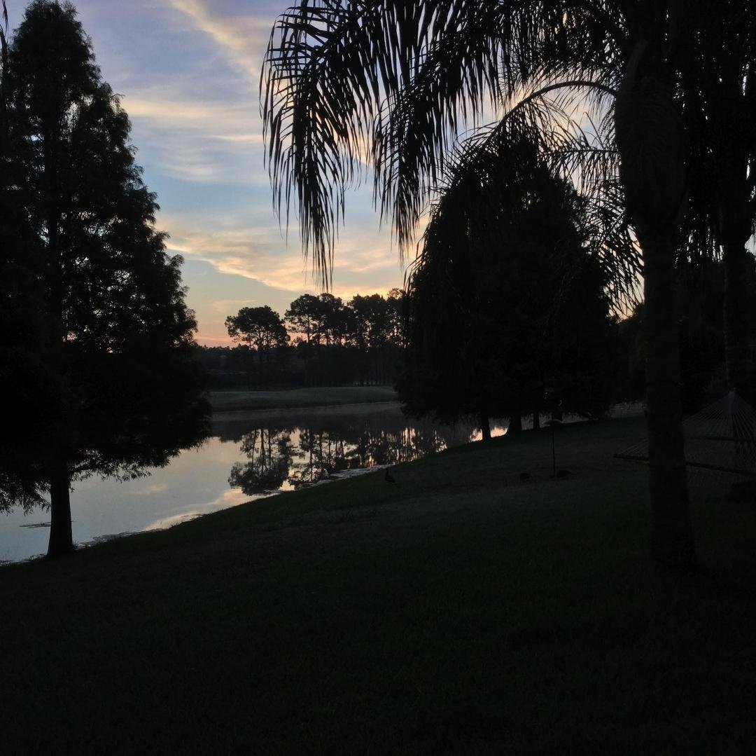 Nancy Guss' album, Timeline Photos